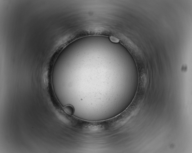 X0000102760638200808251029