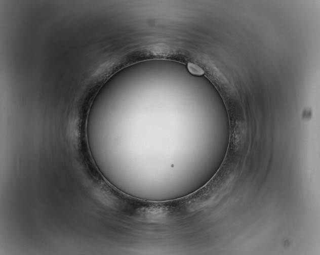 X0000102760639200808251029