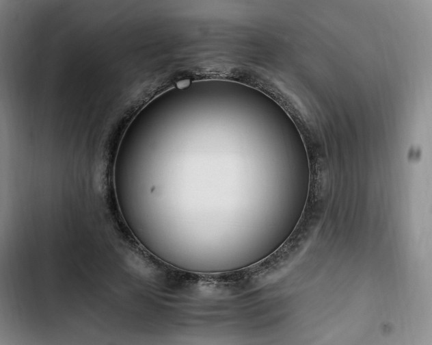 X0000102760641200808251029