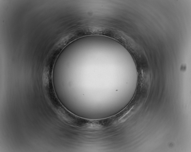 X0000102760644200808251029