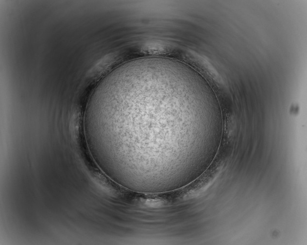 X0000102760645200808251029