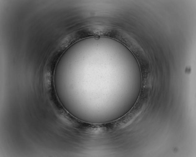 X0000102760646200808251029