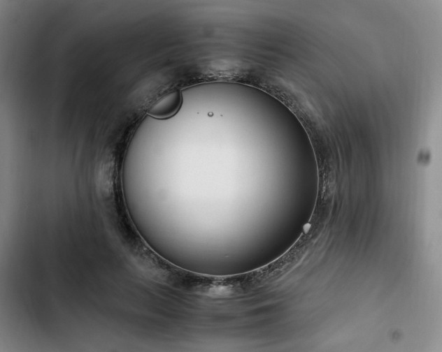 X0000102760647200808251029