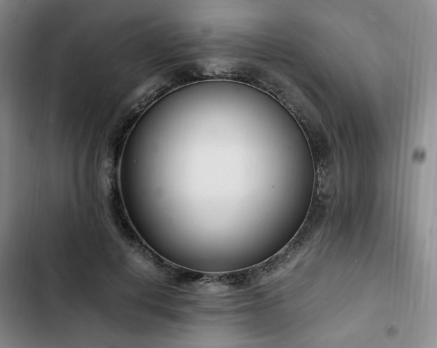 X0000102760648200808251029