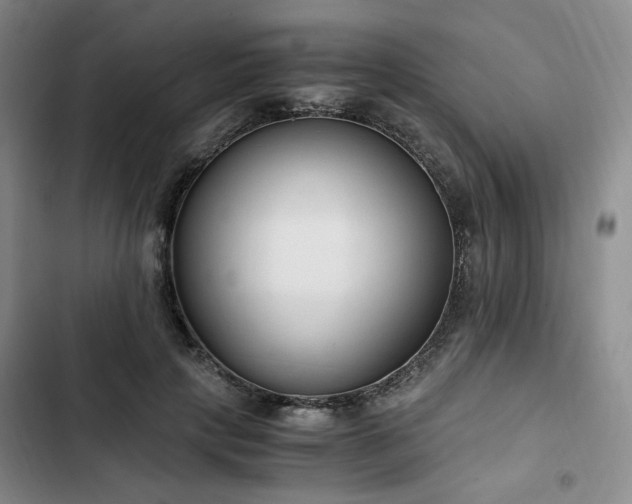 X0000102760649200808251029