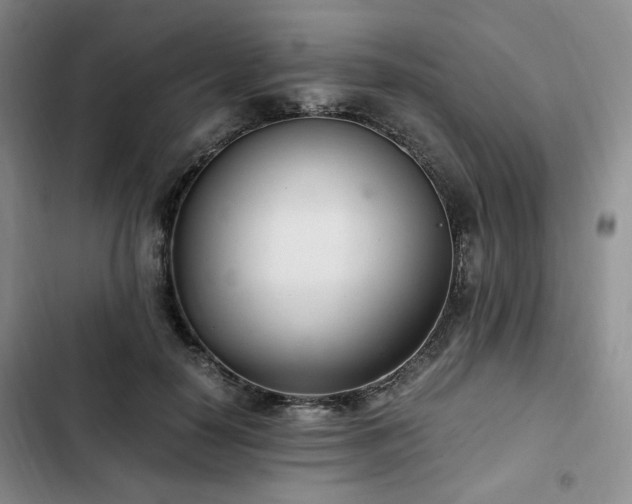 X0000102760650200808251029