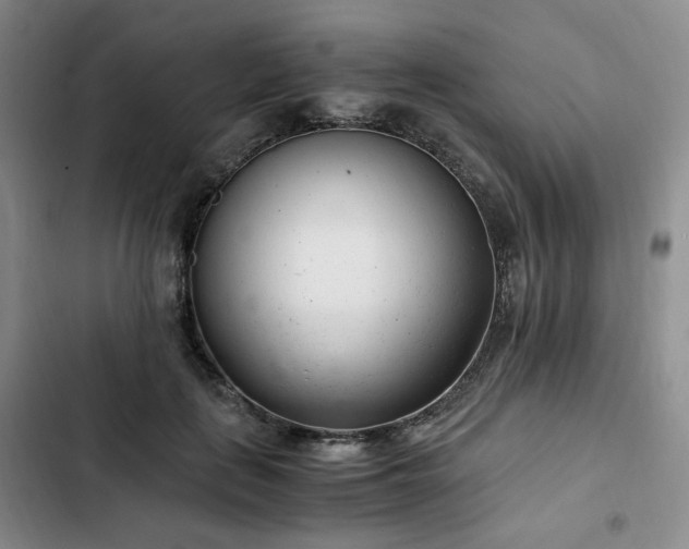 X0000102760651200808251029