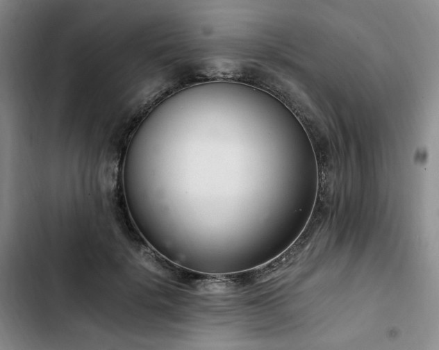 X0000102760652200808251029