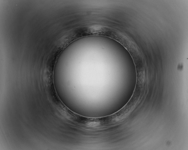 X0000102760653200808251029