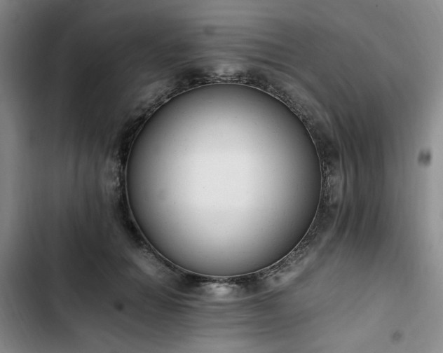 X0000102760654200808251029