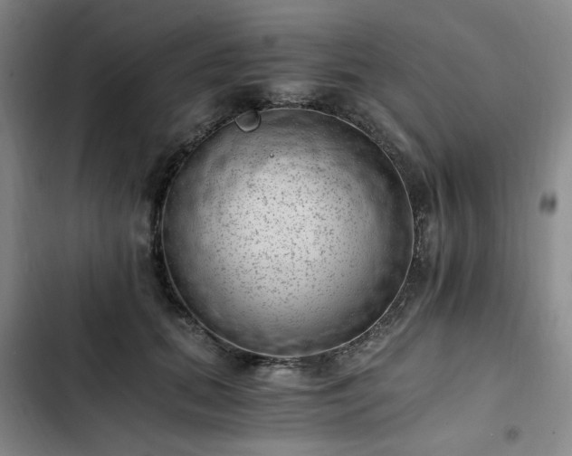 X0000102760655200808251029