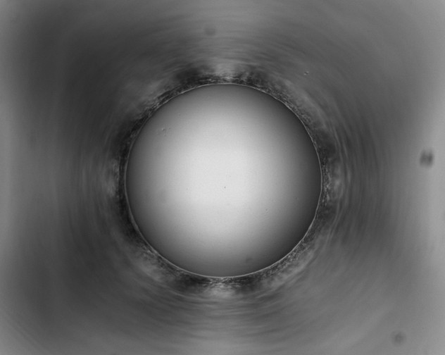 X0000102760656200808251029