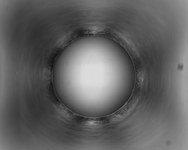 X0000102760657200808251029