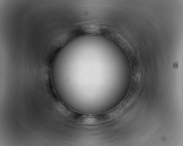 X0000102760658200808251029