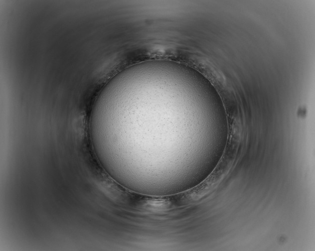 X0000102760659200808251029