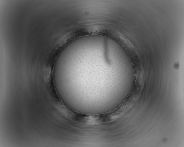 X0000102760660200808251029