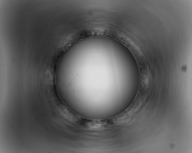 X0000102760661200808251029