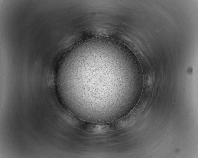 X0000102760663200808251029