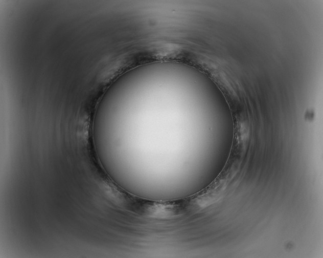 X0000102760664200808251029