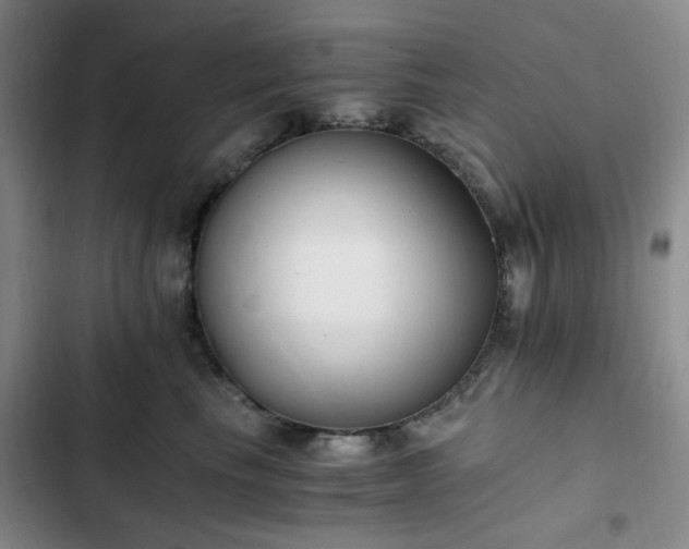 X0000102760665200808251029