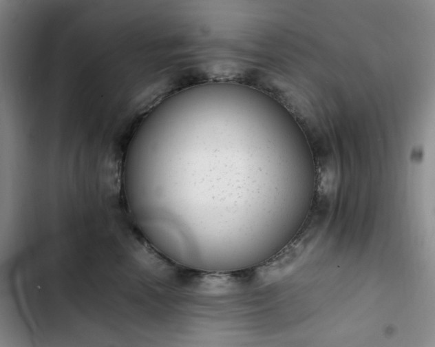 X0000102760666200808251029