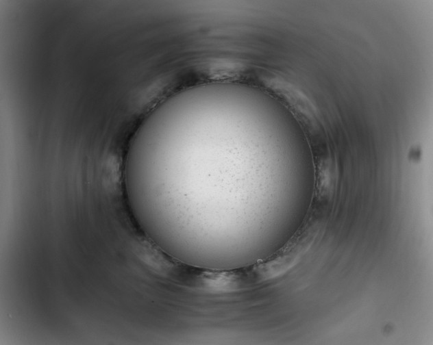 X0000102760667200808251029