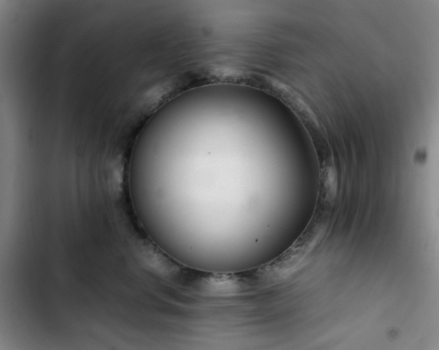 X0000102760668200808251029