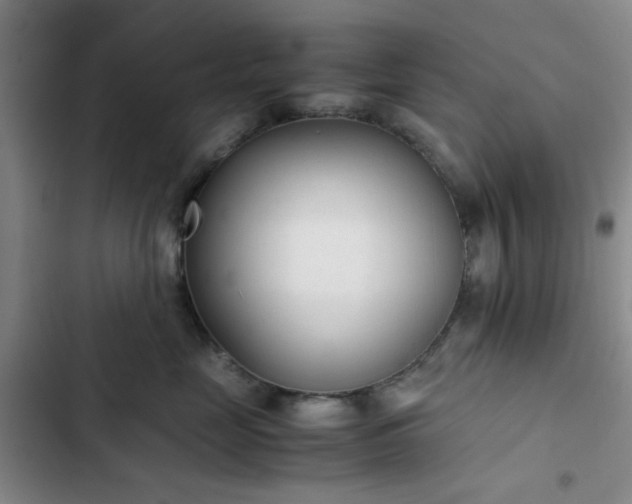 X0000102760669200808251029