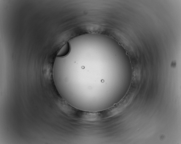 X0000102760671200808251029