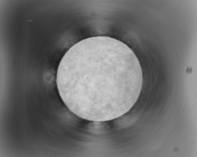 X0000102760672200808251029