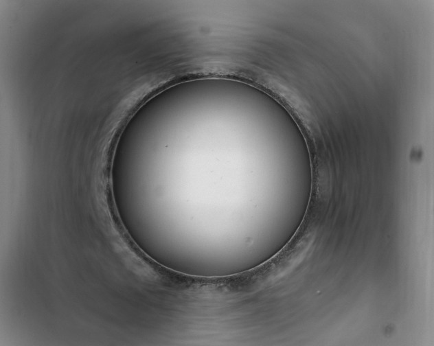 X0000102760673200808251029