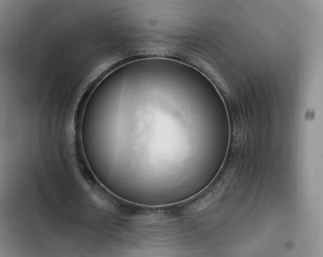 X0000102760674200808251029