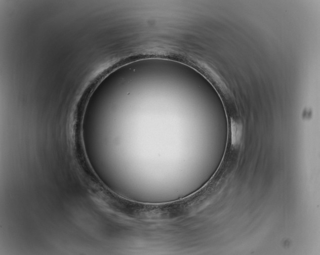 X0000102760675200808251029