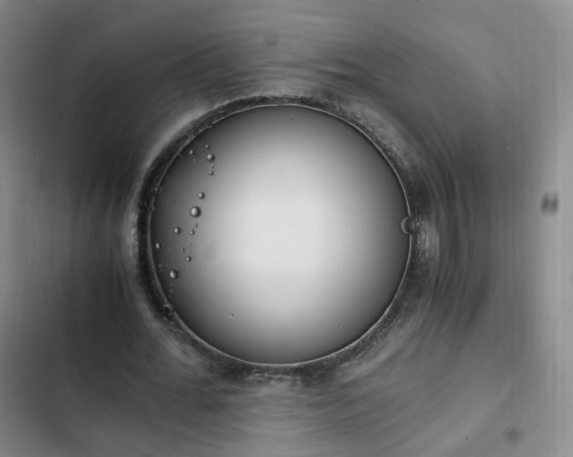 X0000102760676200808251029