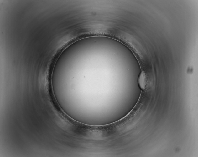 X0000102760677200808251029