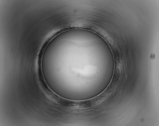 X0000102760678200808251029