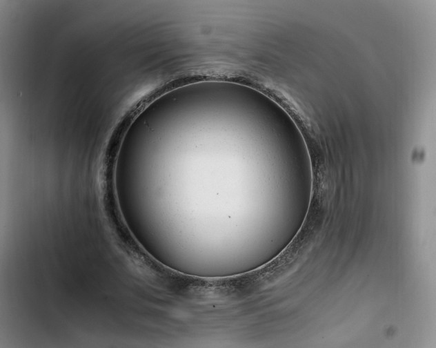 X0000102760679200808251029