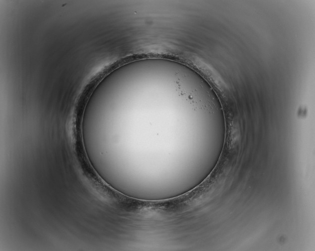 X0000102760680200808251029