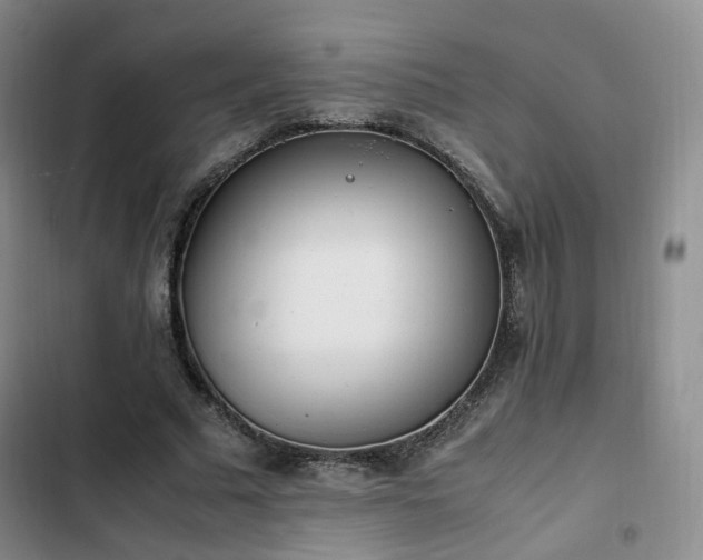 X0000102760681200808251029