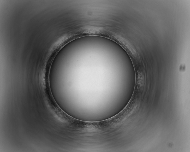 X0000102760682200808251029