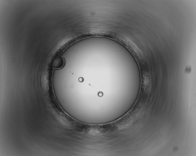 X0000102760684200808251029