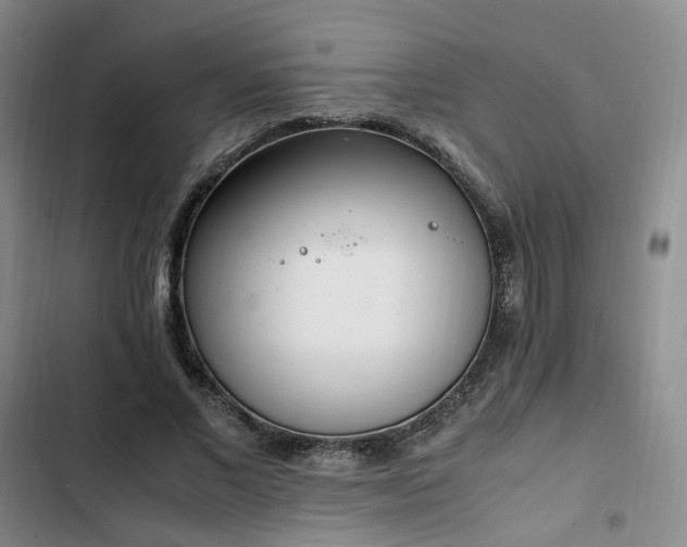 X0000102760685200808251029