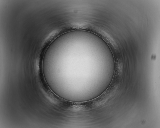 X0000102760686200808251029