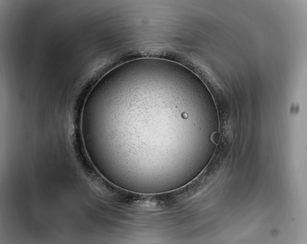 X0000102760687200808251029