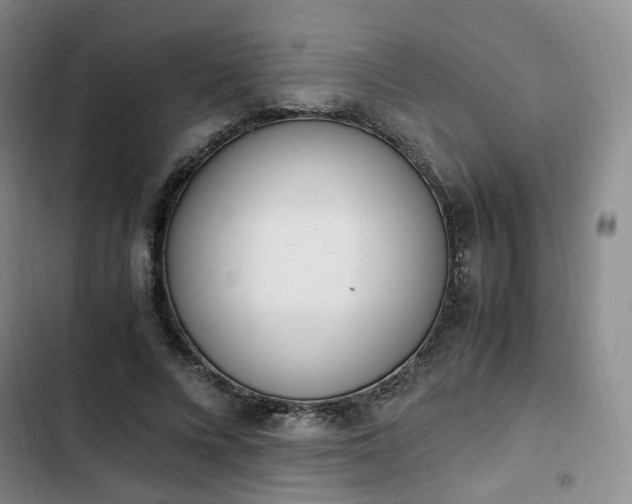 X0000102760688200808251029