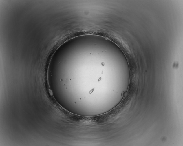 X0000102760689200808251029