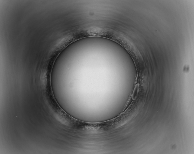 X0000102760690200808251029