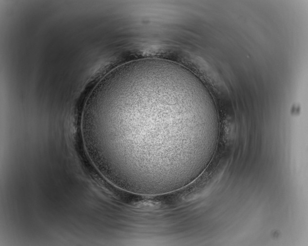 X0000102760691200808251029