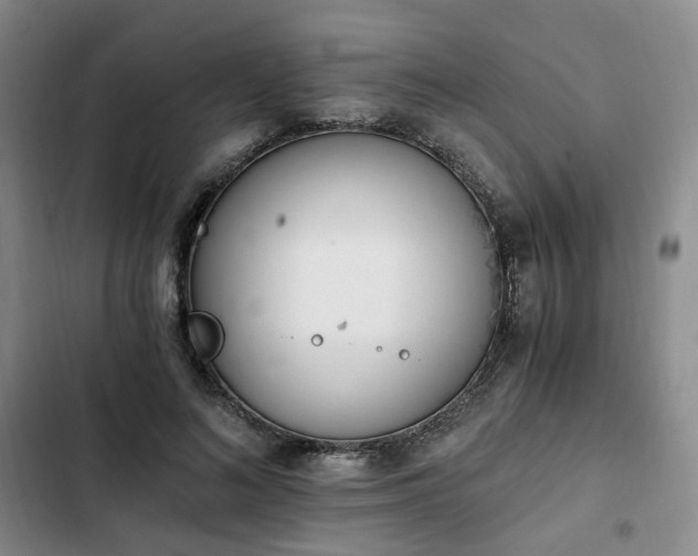 X0000102760692200808251028