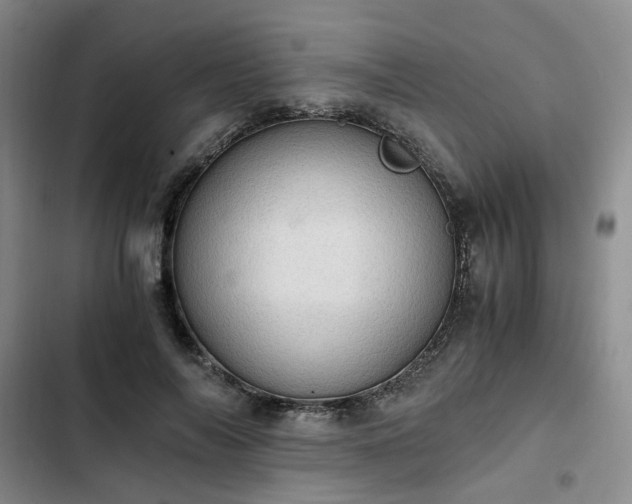 X0000102760694200808251028